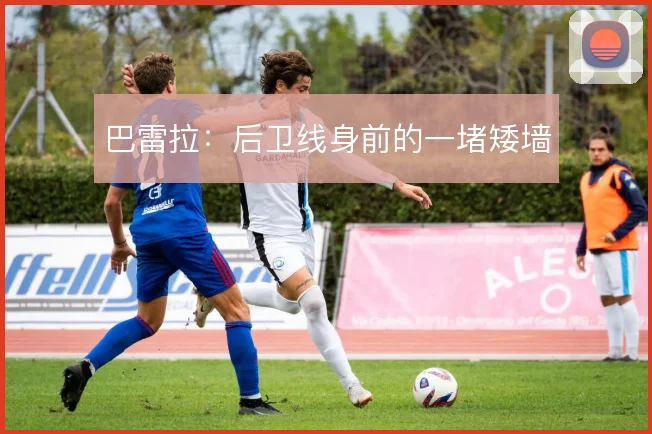 巴雷拉：后卫线身前的一堵矮墙