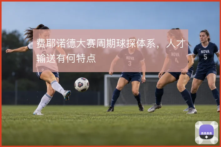 费耶诺德大赛周期球探体系，人才输送有何特点